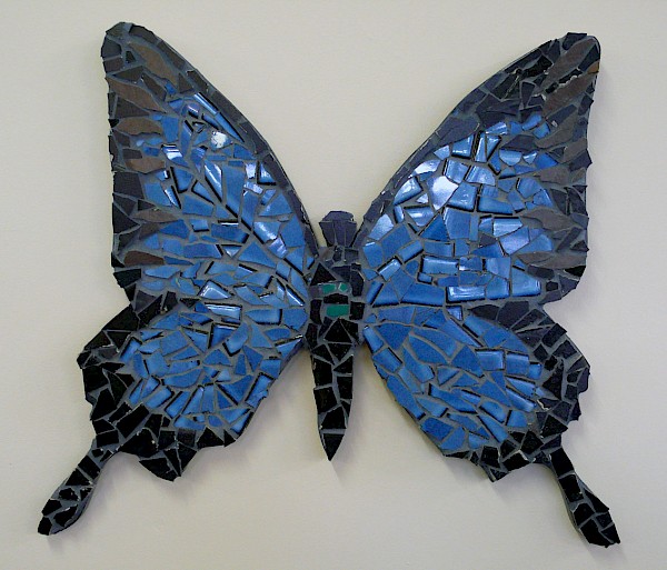 Ulysses Butterfly
